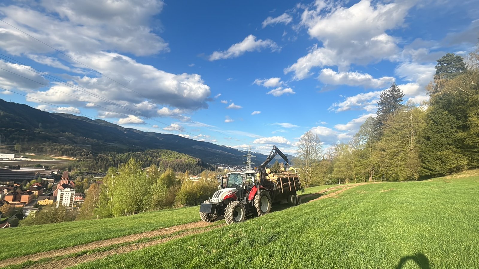 Waldlandschaft als Symbol für Forstwirtschaft und verantwortungsvolle Waldpflege